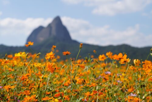 maisan-provincial-park